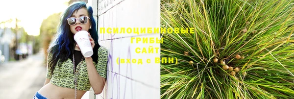 ПСИЛОЦИБИНОВЫЕ ГРИБЫ Абинск