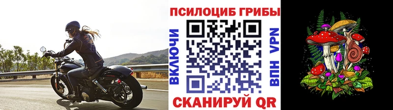 Галлюциногенные грибы прущие грибы  Ростов-на-Дону 