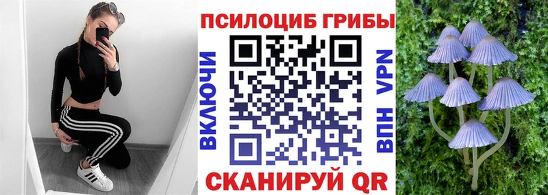 Псилоцибиновые грибы Psilocybe Ростов-на-Дону